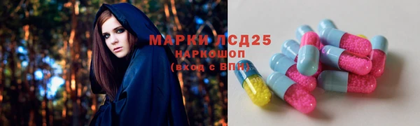 прущие грибы Аркадак