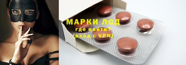 прущие грибы Аркадак