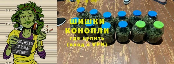 МДПВ Инта