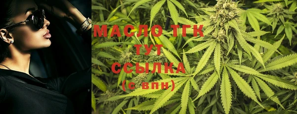 прущие грибы Аркадак