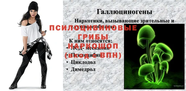 spice Армянск