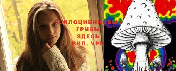 прущие грибы Аркадак