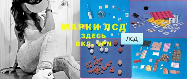 прущие грибы Аркадак