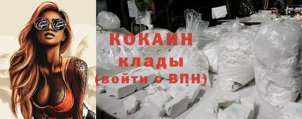 прущие грибы Аркадак